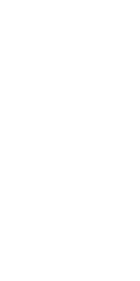 Icon Syringe